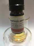Osmanthus Absolute