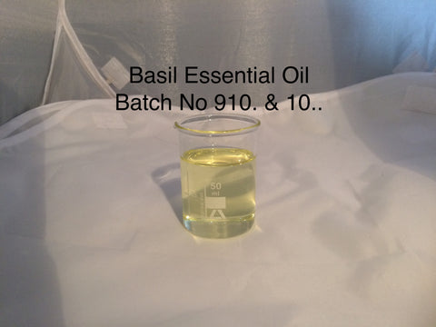 Basil Essential Oil May Special