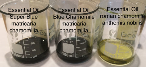 Chamomile Essential Oil Super Blue Egypt