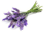 Lavender Essential Oil (Commercial Grade)