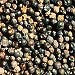 Pepper Black Essential Oil