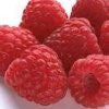 Red Raspberry Oil Virgin