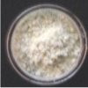 Mica Lauroyl Lysine