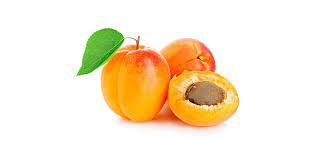 Apricot Oil Organic