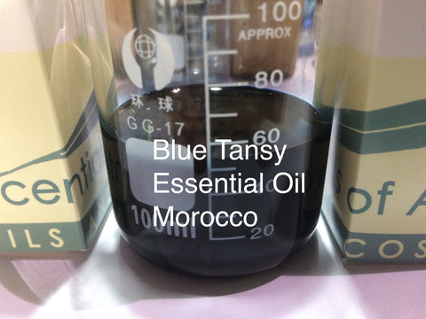 Blue Tansy  Essential Oil