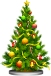 Christmas Tree Fragrance
