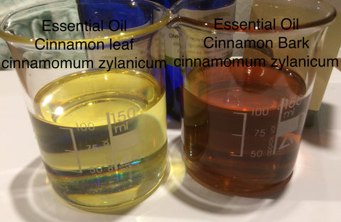 cinnamon leaf essential oil cinnamonum zylanicum