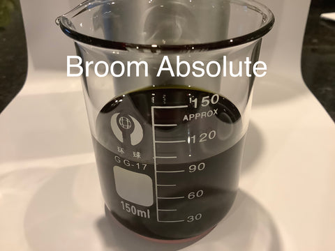 Broom Absolute