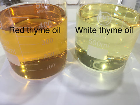 Red and white thyme oil 