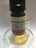 Osmanthus Absolute