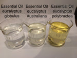 Eucalyptus Blue Mallee Essential Oil