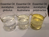 Eucalyptus Blue Mallee Essential Oil