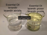 lavandin grosso essential oil 