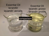 lavandin grosso essential oil 