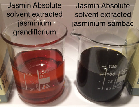 Jasmine Grandiflorium Absolute