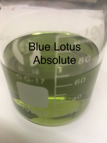 Blue Lotus Absolute