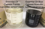 Cypress France Essential Oil