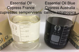 Cypress France Essential Oil