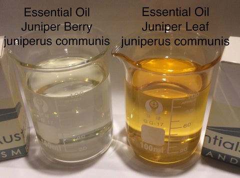 Juniper Leaf Essential Oil CLEAROUT SPECIAL