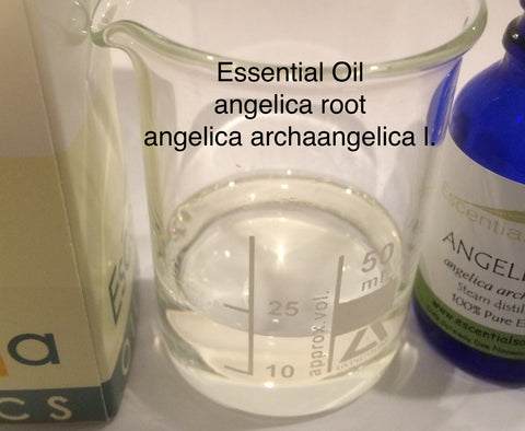 Angelica root essential oil