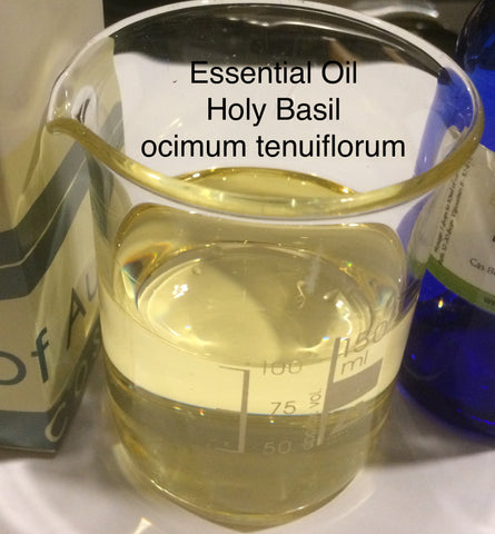 Basil (Holy) Essential Oil