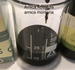 Arnica Absolute