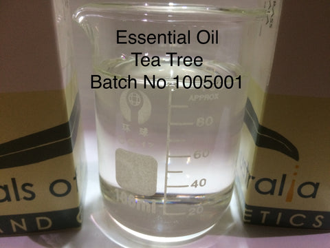 Essential Oil Tea Tree melaleuca alternifolia
