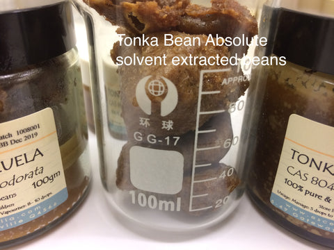 Tonka Bean Oil ( absolute)