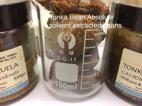 Tonka bean absolute – Sapolita