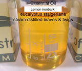 Essential Oil eucalyptus lemon ironbark