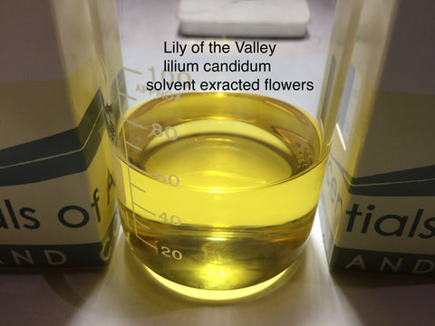 Lily of the Valley Oil 