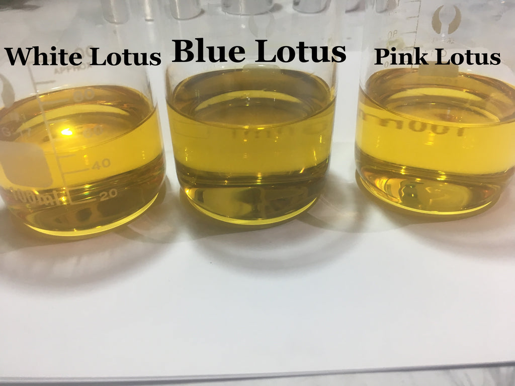 Pink Lotus Absolute – Escentials Of Australia