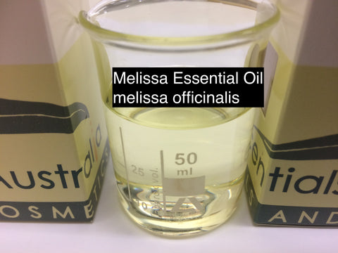 Melissa (Lemon Balm)