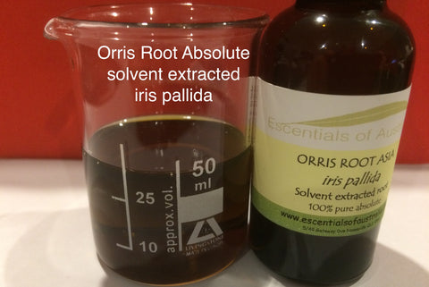 Orris root Absolute iris pallid