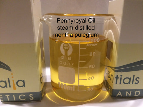 Pennyroyal Essential Oil
