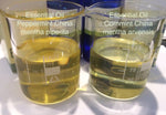 Peppermint Essential Oil China/India