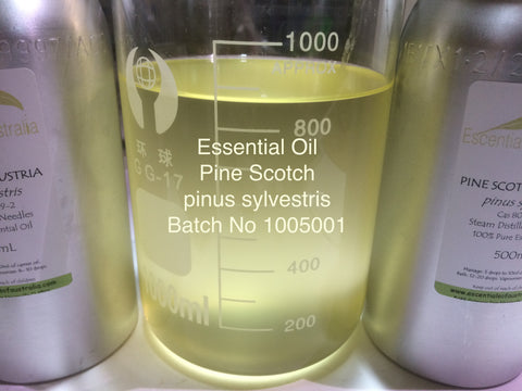 Pine Scotch Essential Oil