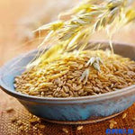 Oat  Hydrolised Botanical Extract