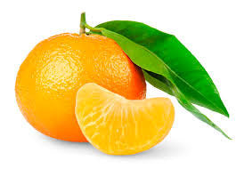 Mandarin Essential Oil  Organic