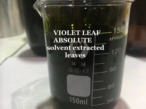 violet leaf oil solvent extracted