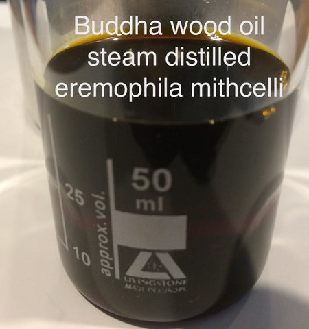 Buddha Wood essential oil