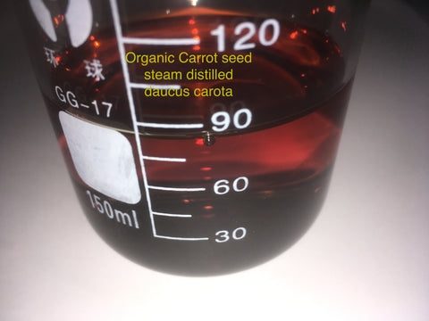 Organic carrot seed oil caucus carota steam distilled
