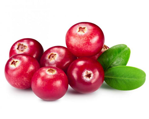 Cranberry Fragrance