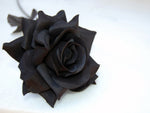 Sensuous Black Rose Fragrance